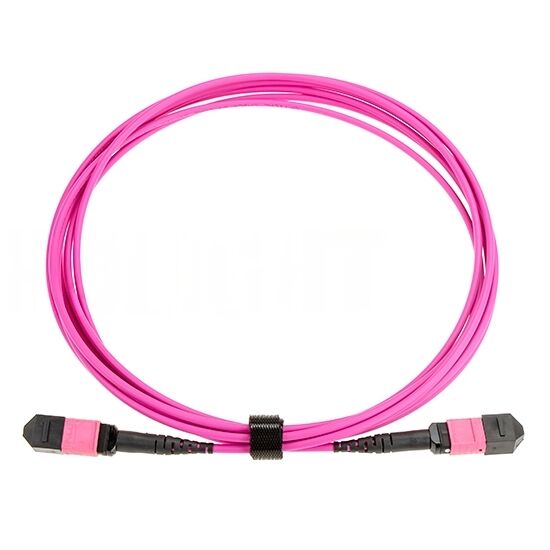 12 Fiber MPOMPO OM4 Patch Cable